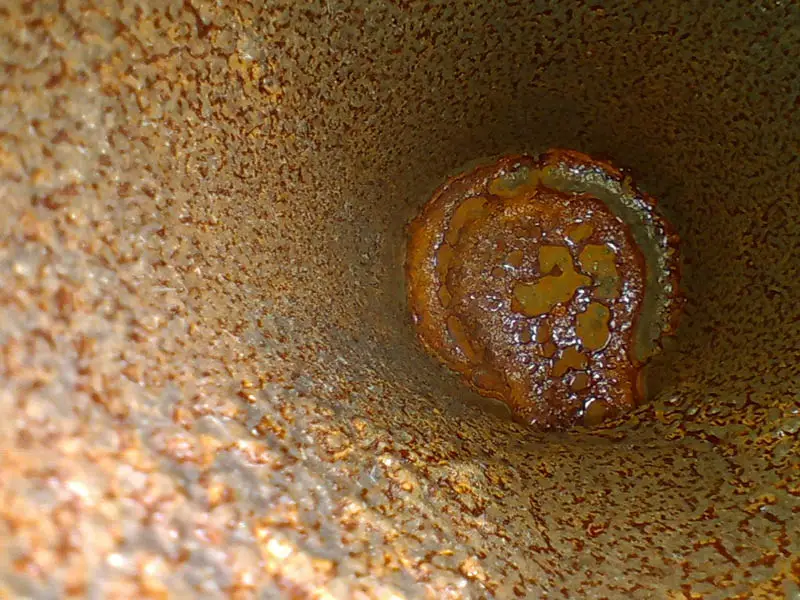 Dellon GX Industrial Videoscope - Image 3