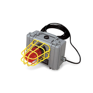 Allegro 9871-01 Remote CO Alarm/Strobe Light System